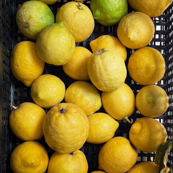 Limoni naturali
