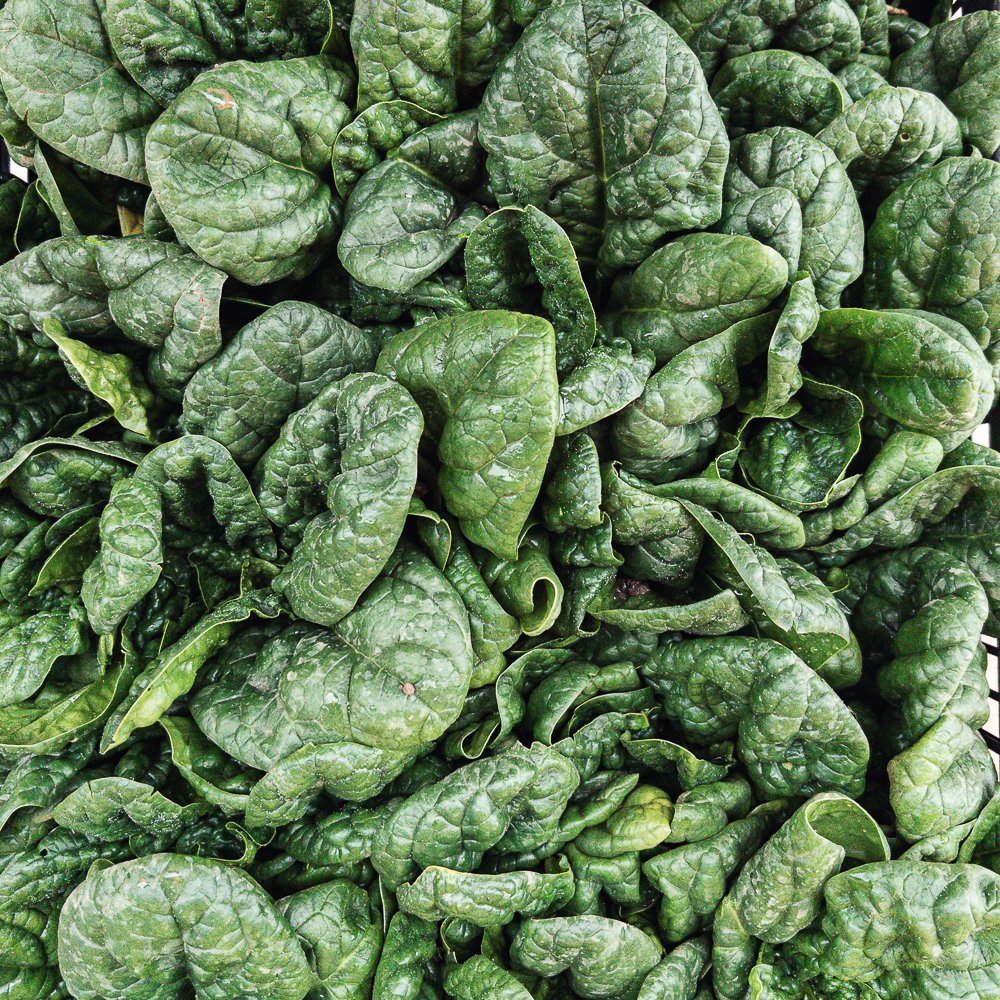 Spinaci_collina-guisachan-verdura-domicilio-Torino-17 Spinaci - immagine 1