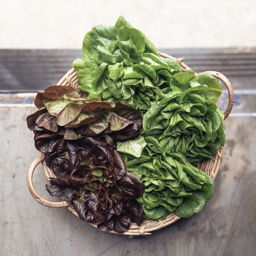 Insalata-salanova_collina-guisachan-verdura-domicilio-Torino-20 Insalata Salanova - immagine 1