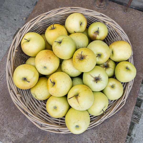 Mele Golden Delicious