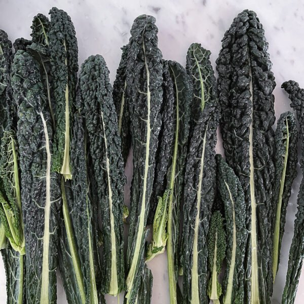 Cavolo nero