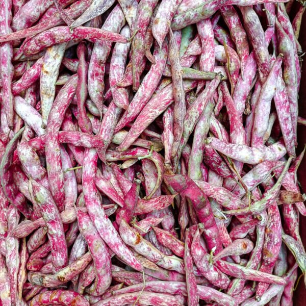 Fagioli Borlotti