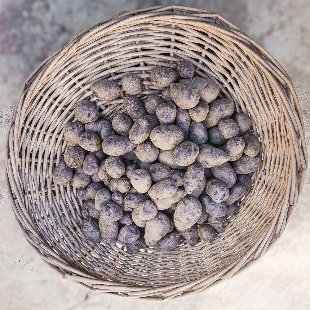 Patate-Viola_collina-guisachan-verdura-domicilio-Torino-31 Patate viola - immagine 1