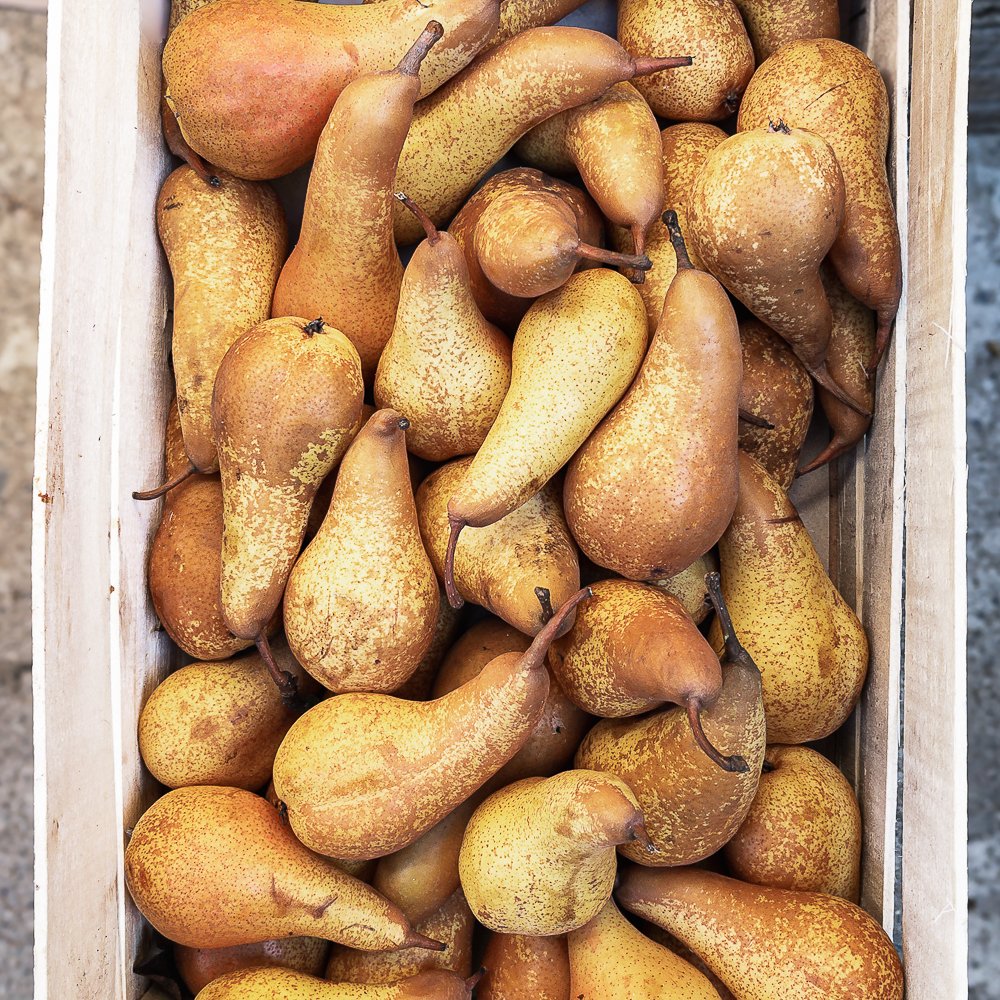 Pere-Abate_collina-guisachan-frutta-domicilio-Torino-5 Pere Abate - immagine 1