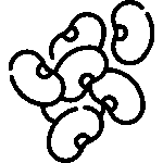 Legumi