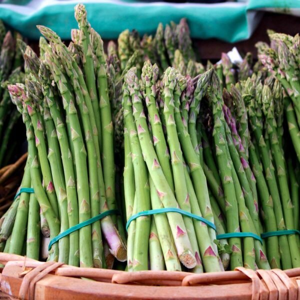 Asparagi