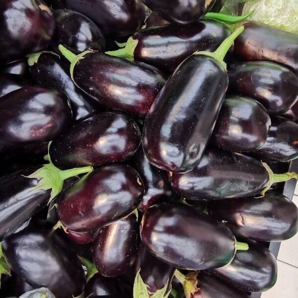 Melanzane nere